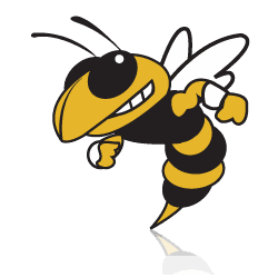 TimesJournal.com - BOYS BASKETBALL ROUNDUP: Massey scores 22, Hornets top Lions in season debut image