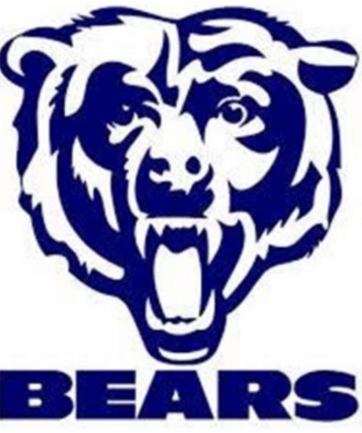 TimesJournal.com - BOYS BASKETBALL ROUNDUP: Fast start helps Bears rout Lions image
