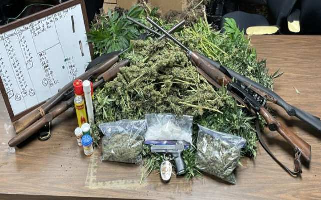 Half Pound of Meth, 191 Marijuana Plants Seized near Kilpatrick