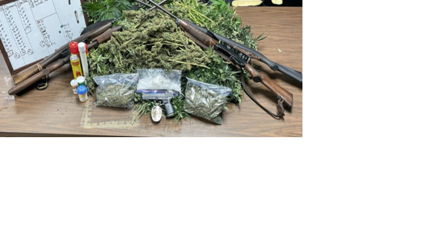 Half Pound of Meth, 191 Marijuana Plants Seized near Kilpatrick - Vimarsana News