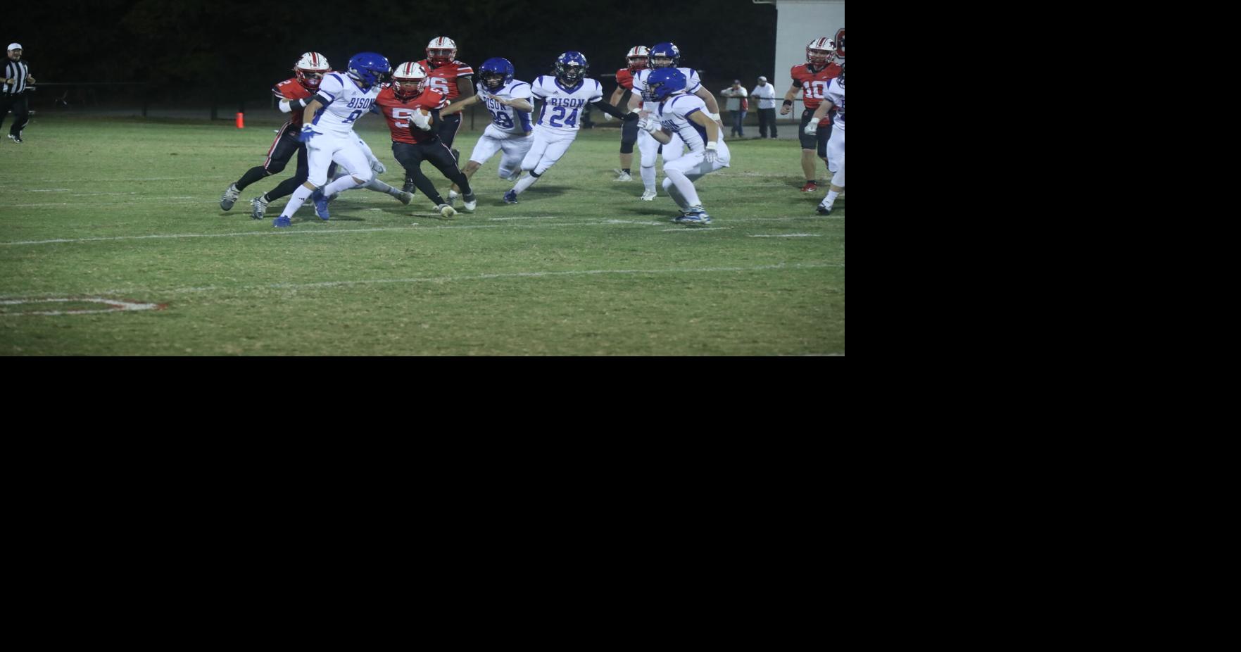 TimesJournal.com - Panthers claim 3rd place over Herd image