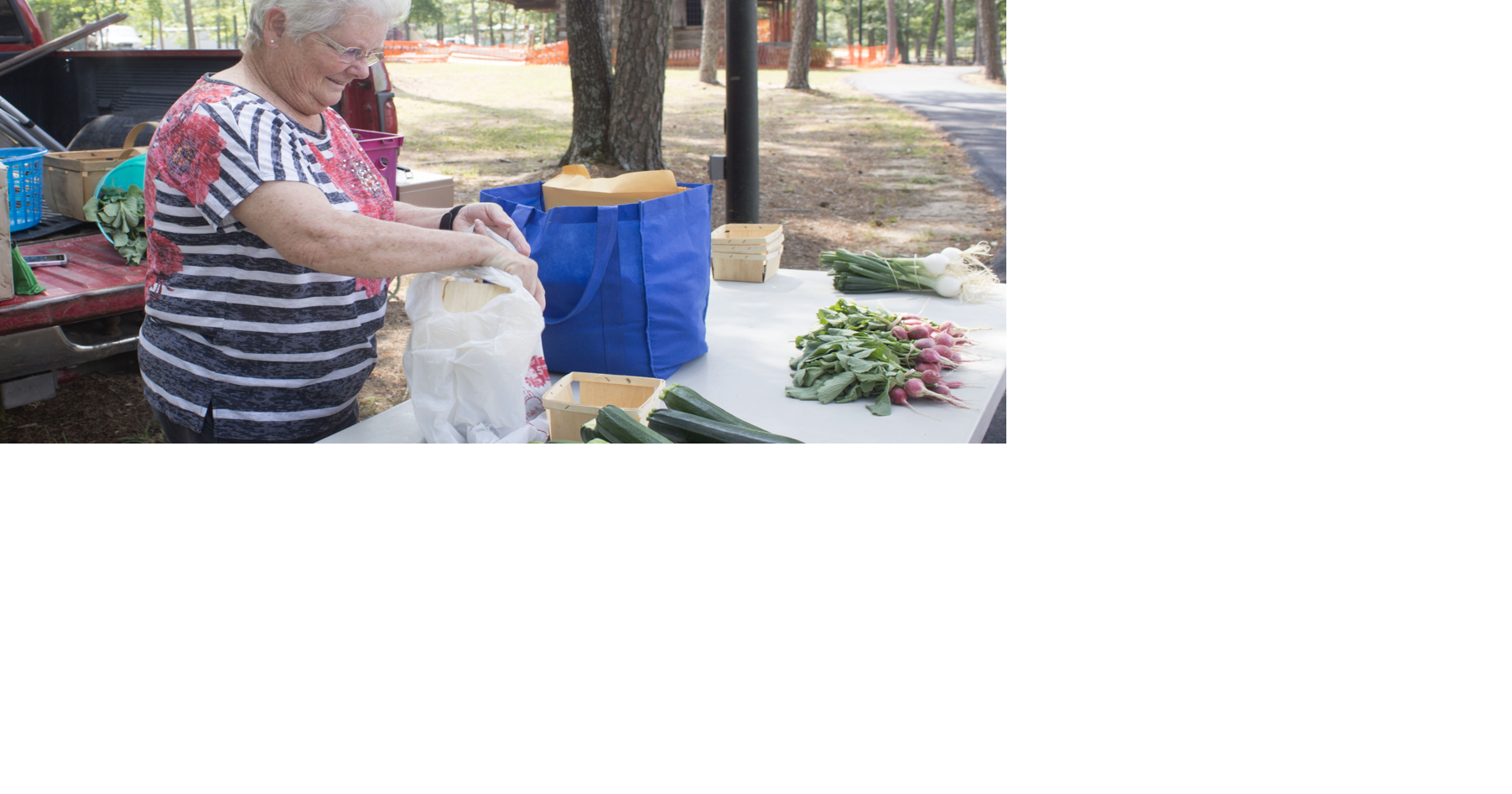 New pavilion coming for farmer’s market vendors in Henagar News