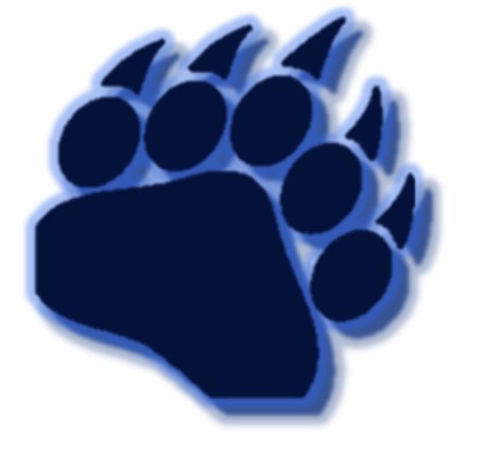 TimesJournal.com - Plainview, Fyffe begin Class 3A state postseason competition image