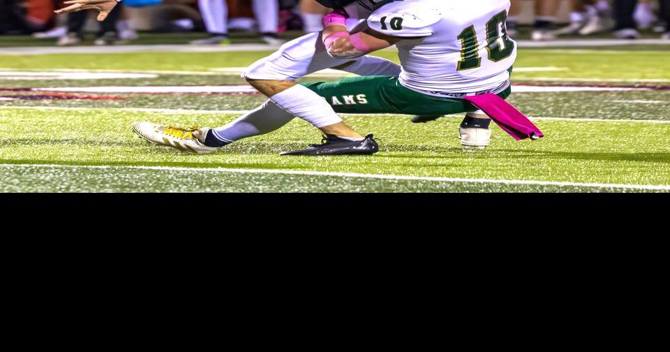 TimesJournal.com - Rams complete region undefeated image