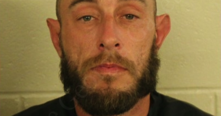 Repeat offender sentenced to life for domestic attack | DeKalb County ...