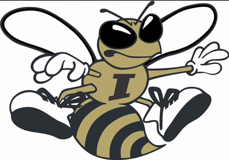TimesJournal.com - GIRLS BASKETBALL ROUNDUP: Hornets topple Lions in home return image
