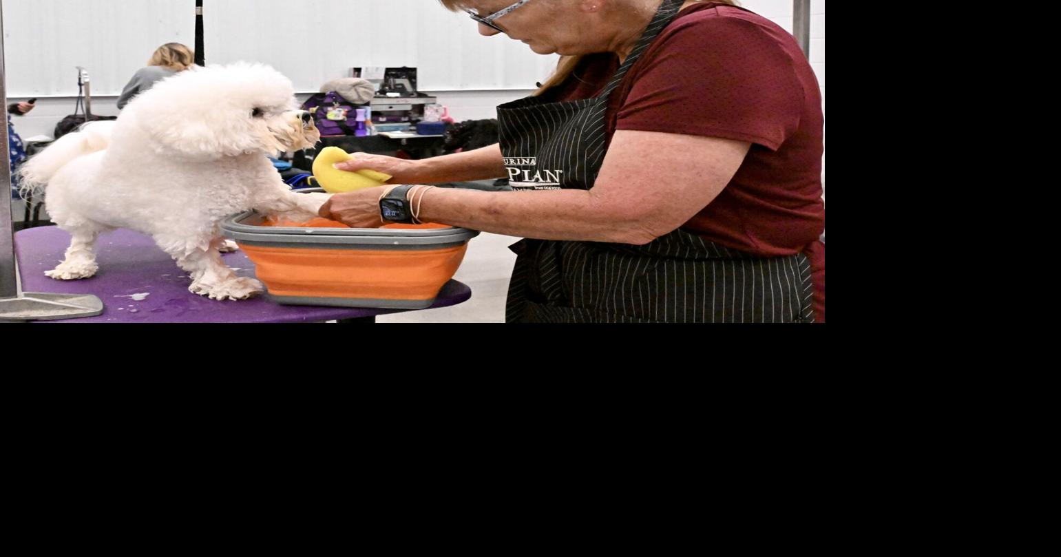 Dog show kicks off at fairgrounds | News | times-news.com