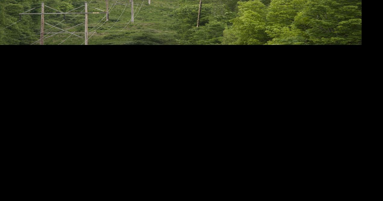 helicopter tree trimming accident