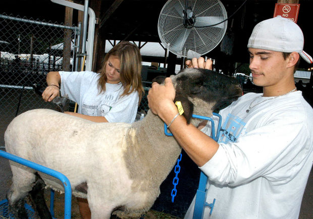 Mineral County Fair times news