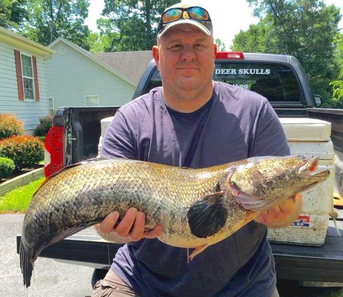 Bow angler shoots record Maryland northern snakehead Outdoors times