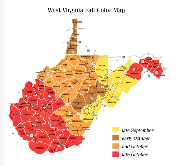 W.Va. leaf peeping season in full swing Local News