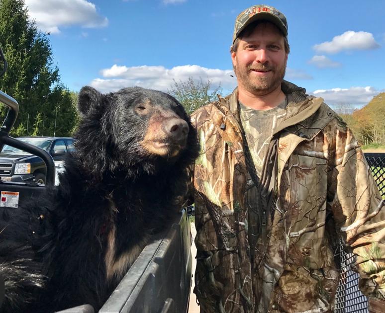 More Maryland bears checked on second day of hunting season than first