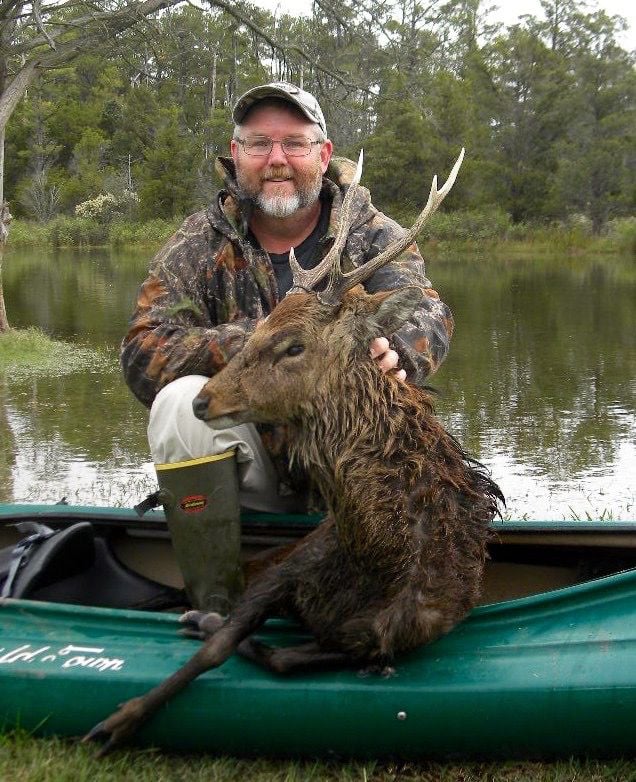 Maryland offers unique hunt for sika deer on Eastern Shore Local News