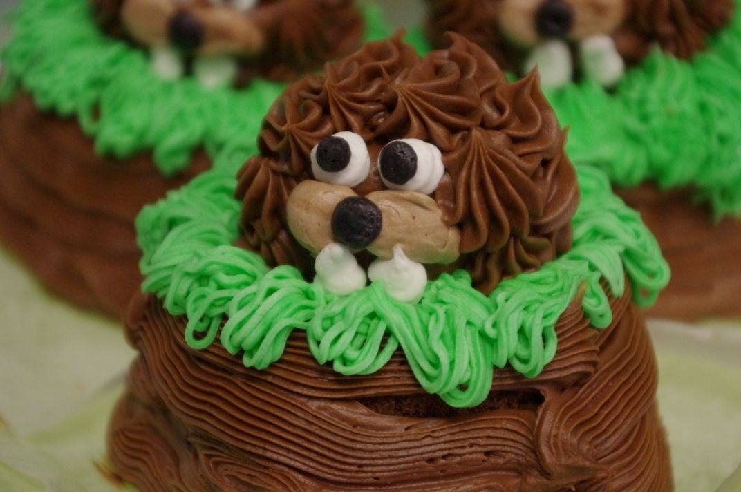 Groundhog Day Cupcakes - This Mama Loves