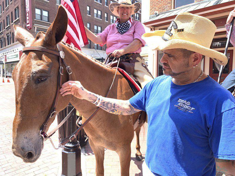 Saddle Up Cowboys For Trump Heading To White House Local News Times News Com