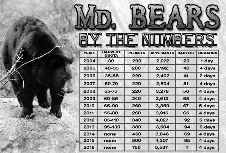 Md.'s bear hunt has come a long way, baby - #MDBEARS2016 ...