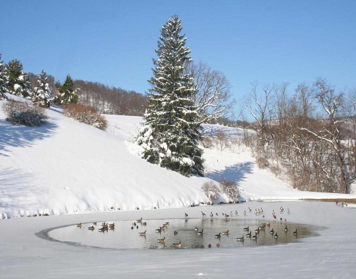 Allegany Magazine Holiday Edition 2019 Happy Winter Solstice