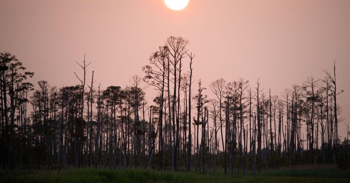 Climate change is a local issue – and here’s what’s happening in every part of Maryland