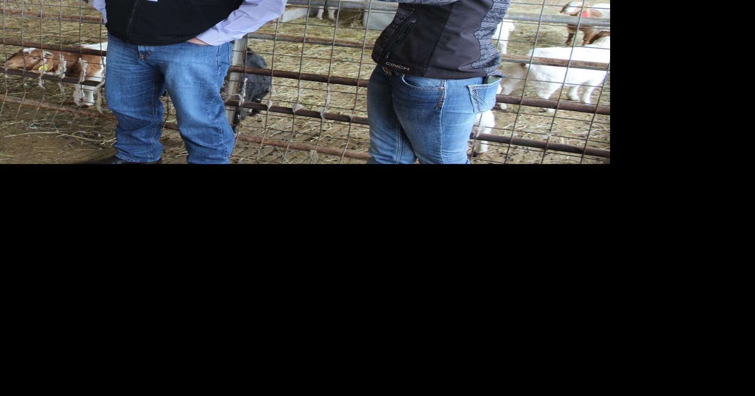 WVU animal, nutritional expert visits PSC farm