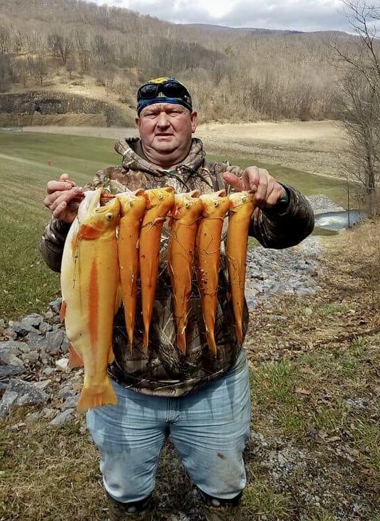 Hedrick Pond Trout Fishing 