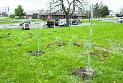 Western Md Health System Opening Community Garden Local News