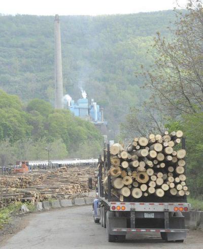 Mill Closure Big Hit On Area Logging Industry Local News Times News Com