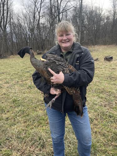 clarissa hen.jpg