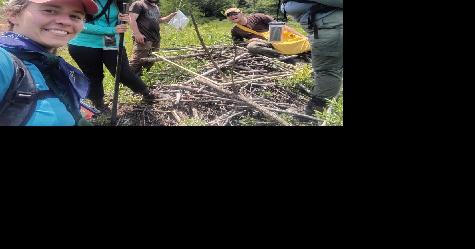 Lecture series to feature GC student environmental techs | Community ...