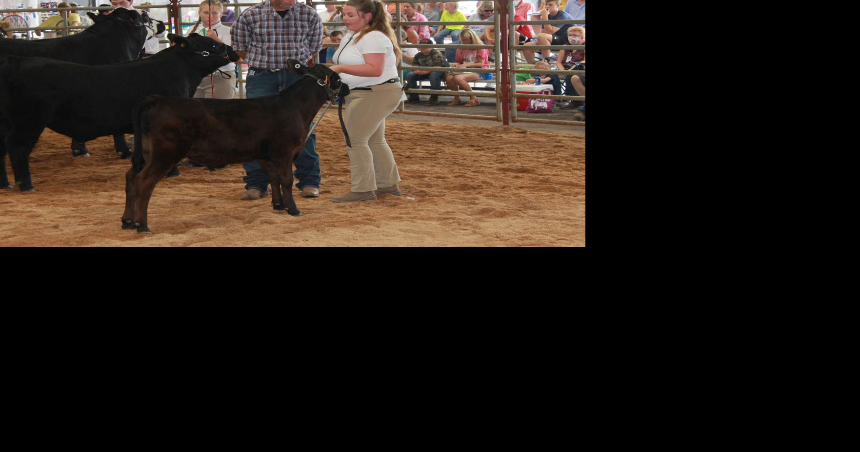 Photos from the 2021 Allegany County Fair and Ag Expo 4H competition
