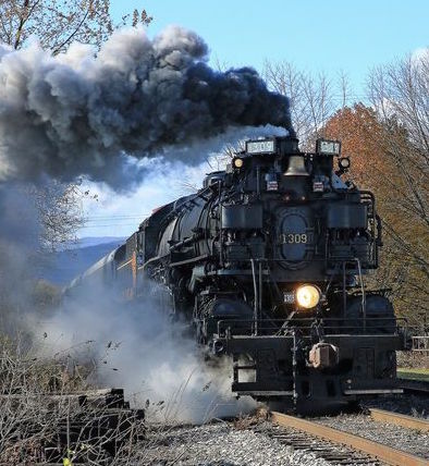 Full steam ahead: No. 1309 passes federal inspection | Local News