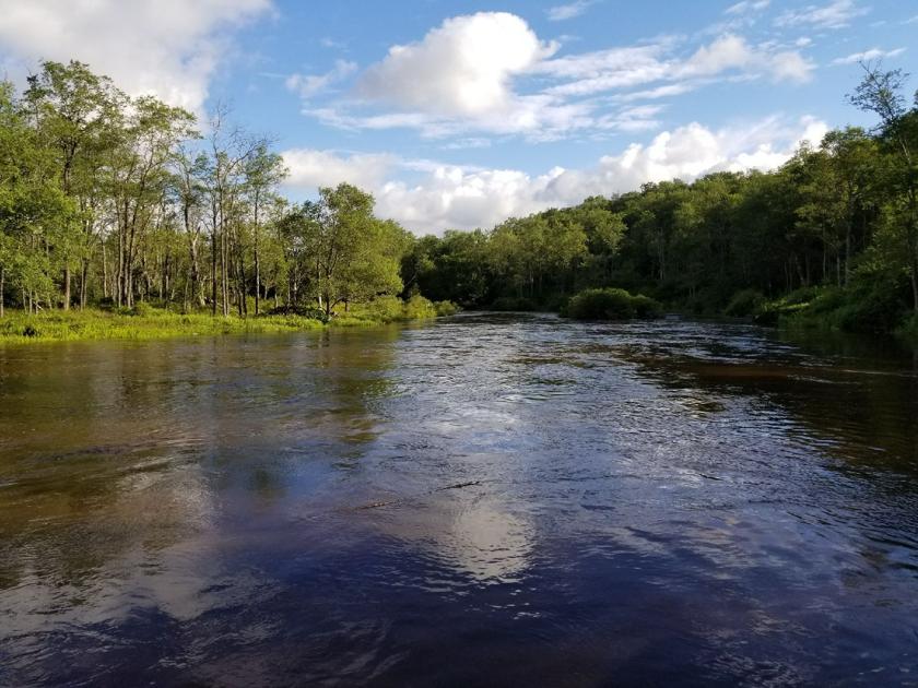 Officials mapping out future of Jennings Randolph Lake News times