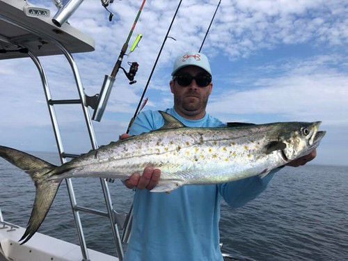 Maryland Fishing Report: Sept. 11, 2019, Outdoors