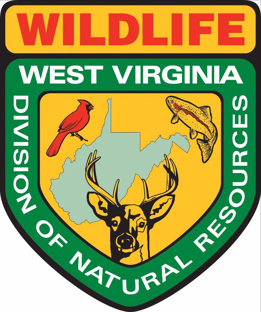 W.Va. national forest, wildlife management area roads open to