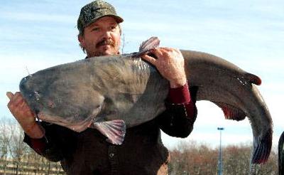 Blue Catfish Sets Maryland Record Times News Com