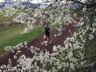 D C Cherry Blossom Peak Predicted For April 11 14 Local News