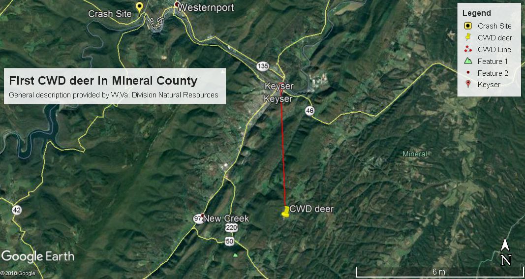 First Mineral County deer with chronic wasting disease confirmed Outdoors