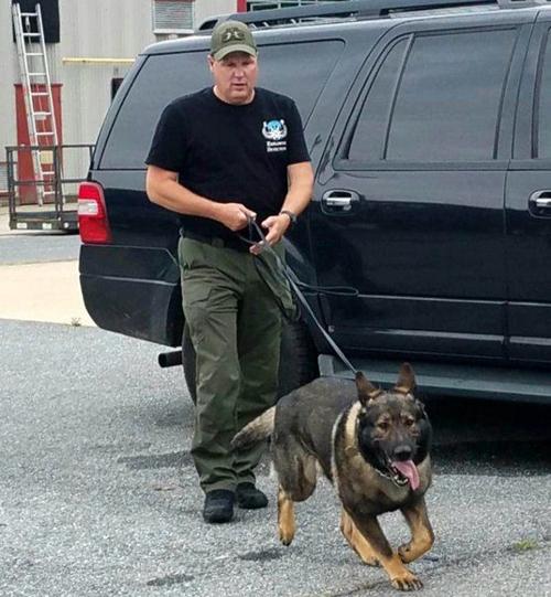 Blitz Ending Career With State Fire Marshal S Office Local News Times News Com