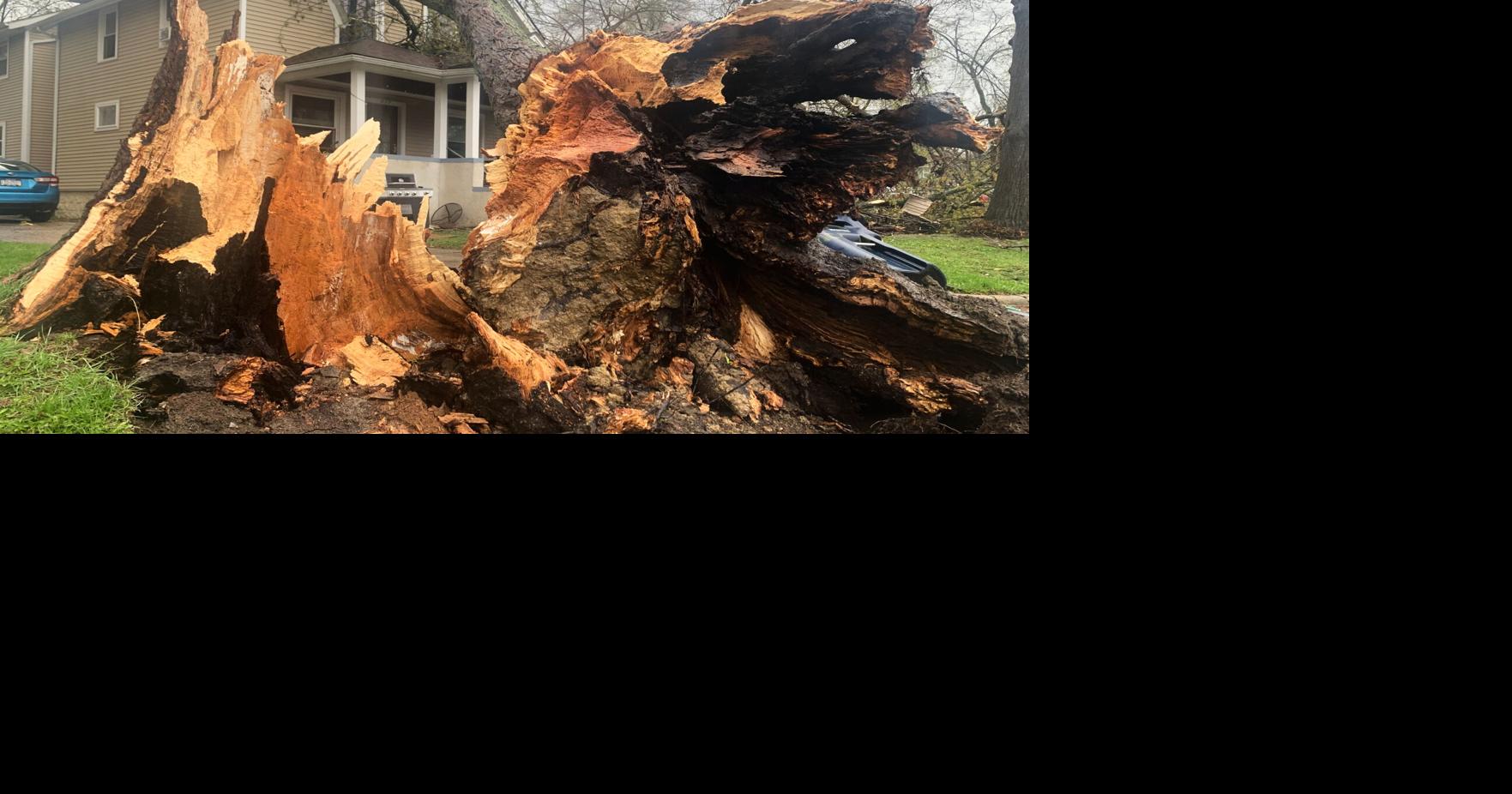 Thunderstorms rip across Michigan damaging 2 ice arenas, other ...