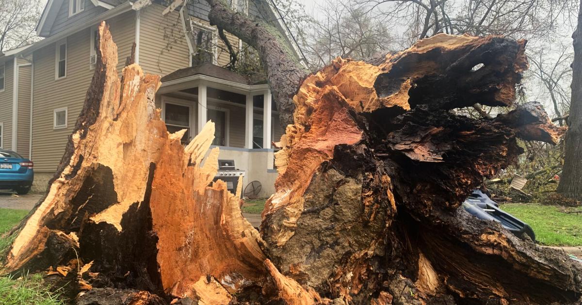 Thunderstorms rip across Michigan damaging 2 ice arenas, other ...