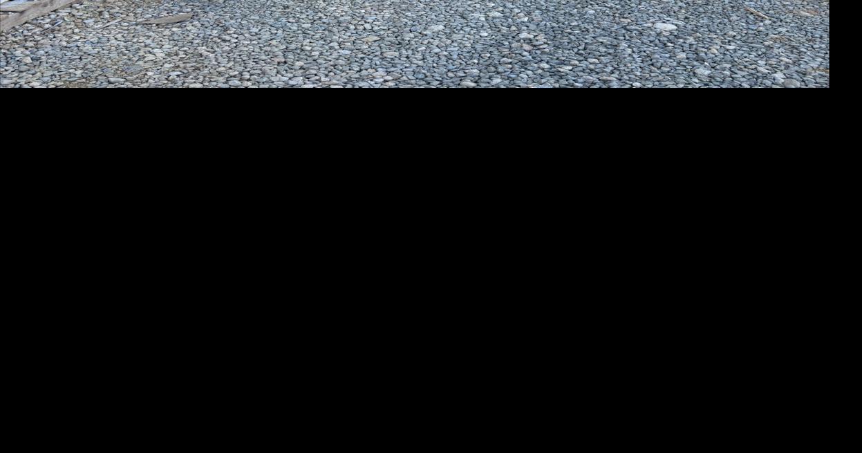 FSU student uses cutting-edge technology to transform standards