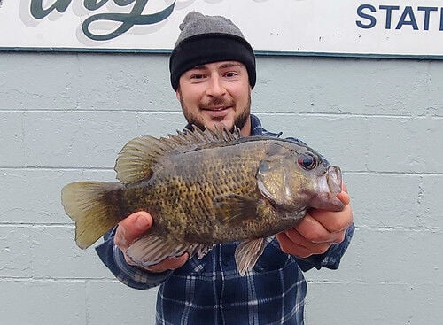 Harford County man catches record rock bass, Sports