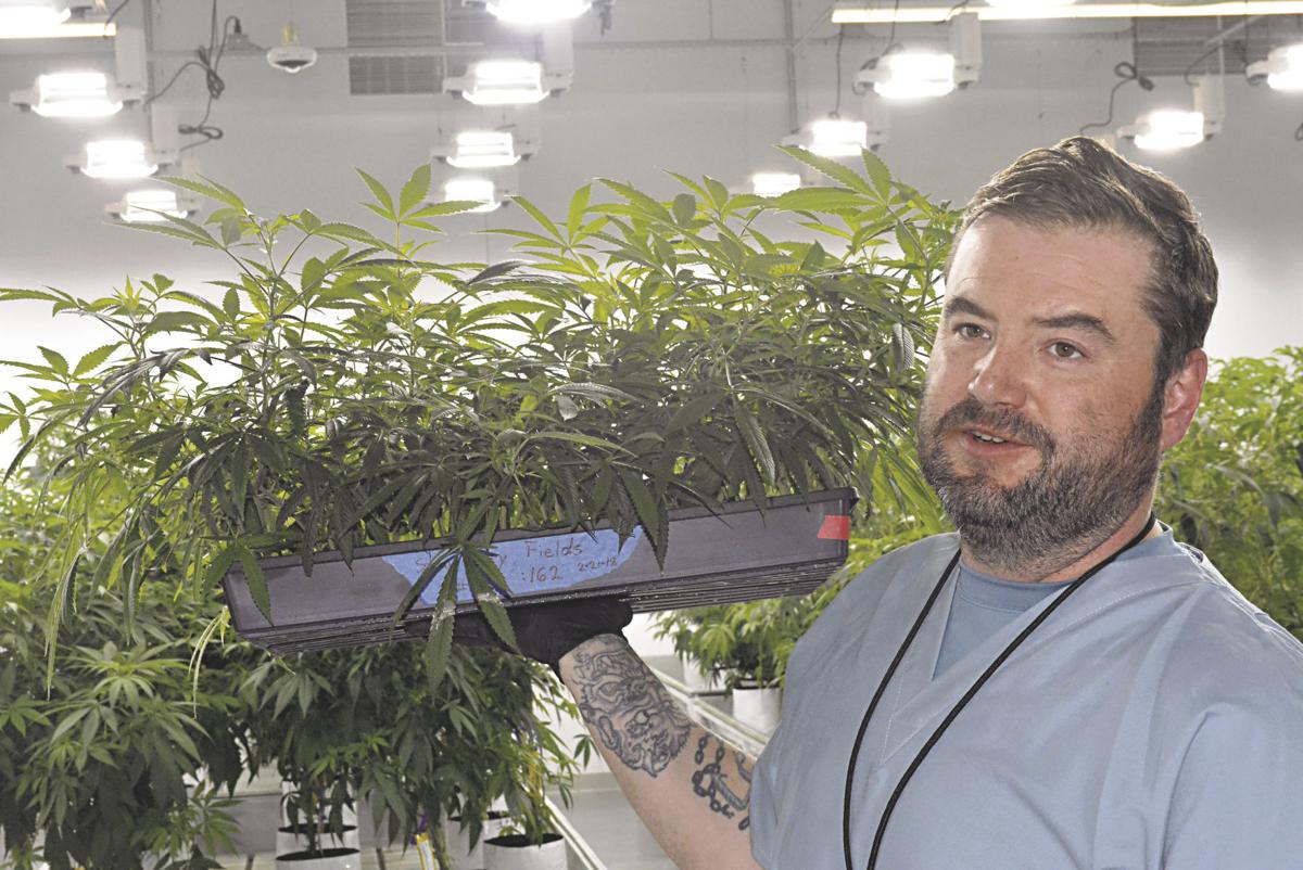 Queen City Cannabis Transforms Former Kelly Springfield Plant