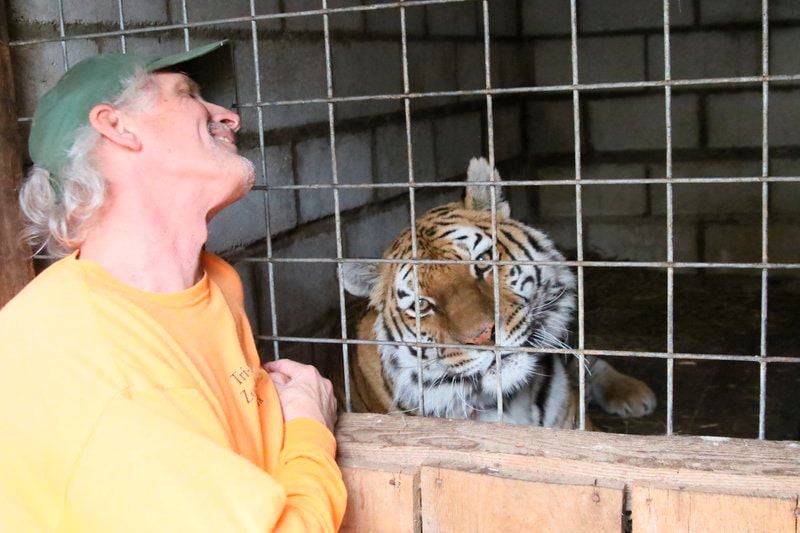 Zoo holds open house to say goodbye to big cats; owner ...