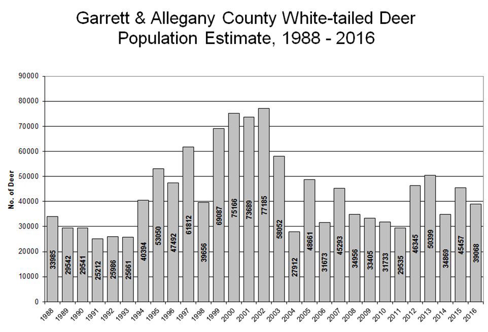 Maryland will consider antler point restrictions for deer hunters