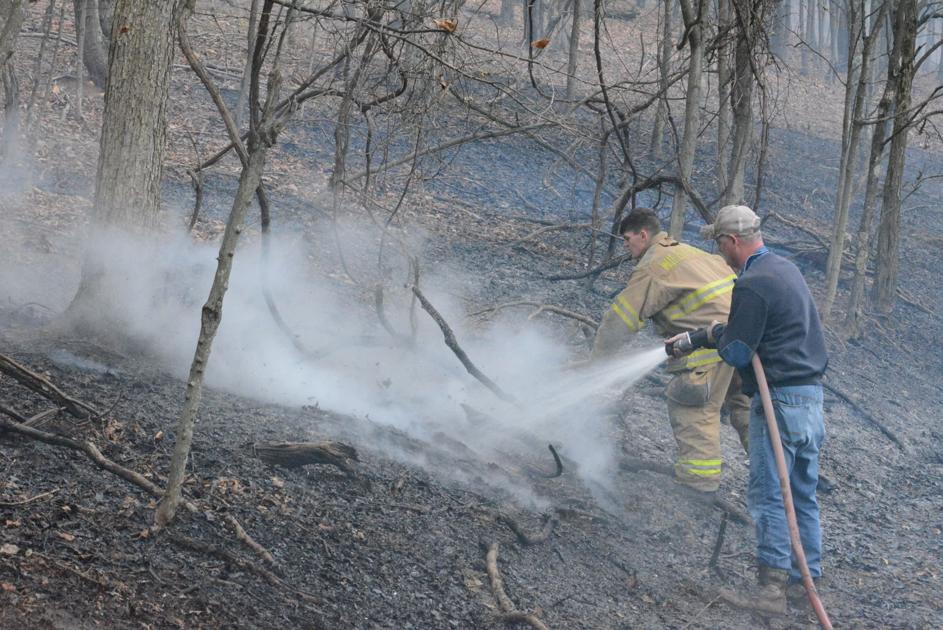 Wind blows down trees, lines, knocks out power Local News times