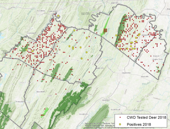 Biologist Chronic wasting disease 