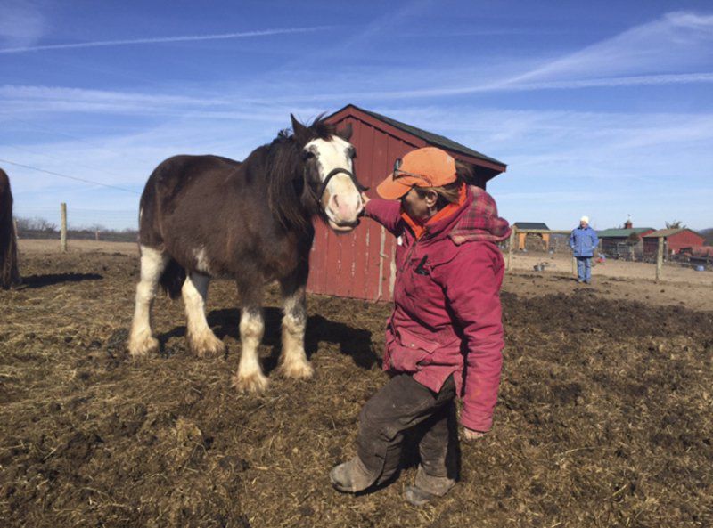 Permanent vacation Running animal sanctuary wasn t part of plan