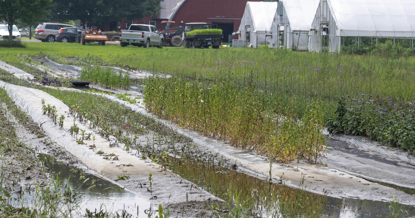 Weather events put fresh stress on Vt. farmers - Vimarsana News