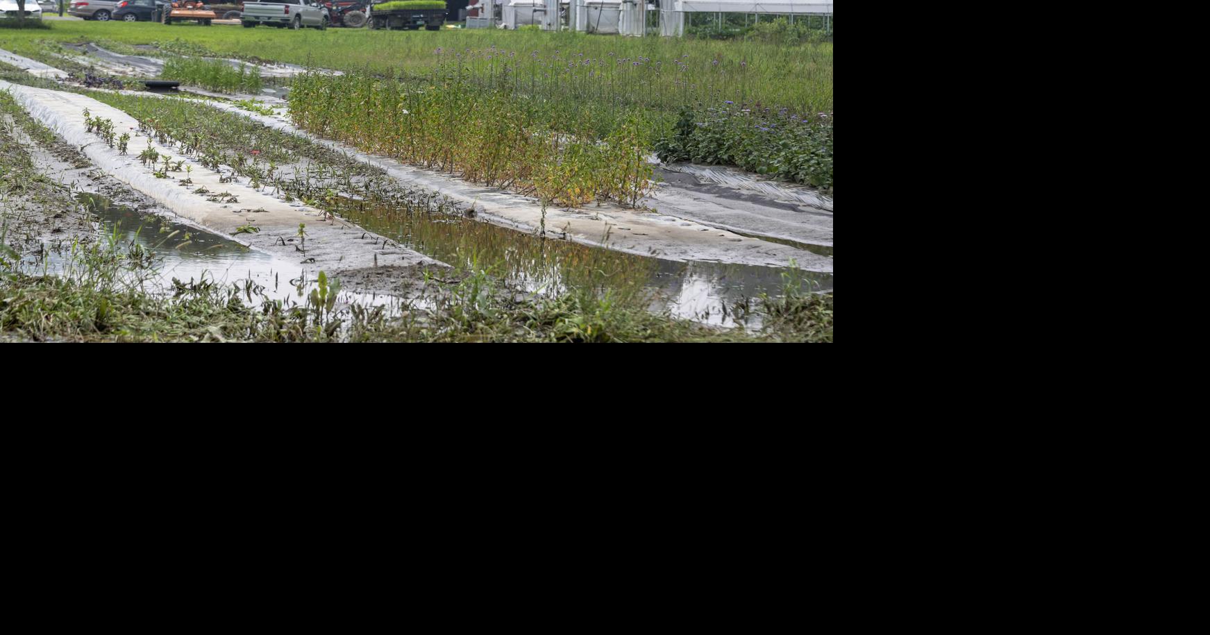 Weather events put fresh stress on Vt. farmers | 211 | timesargus.com