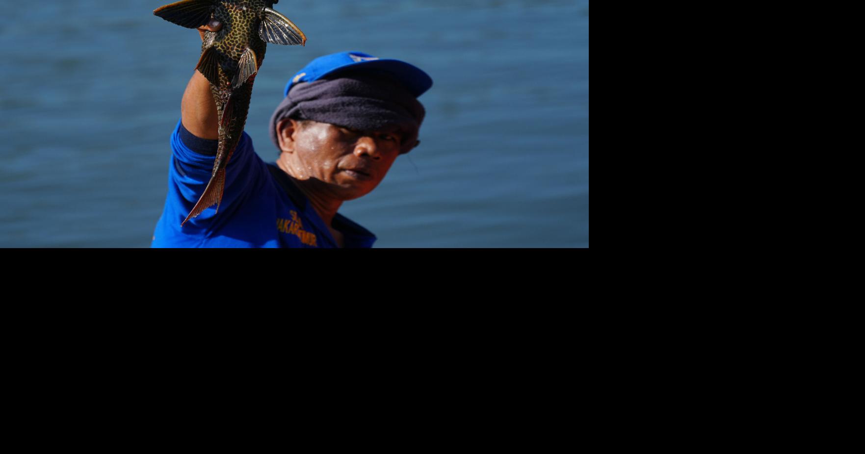 Indonesia Janitor Fish Clean Up